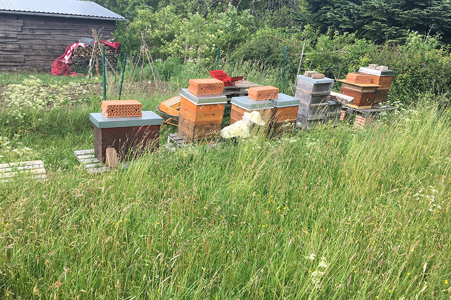 Bienenstöcke auf den Streuobstwiesen © Michael Deitenbach