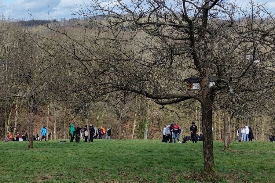 Streuobstwiese der Sekundarschule im Walbachtal in Bellingroth © Dorothea Leyrer