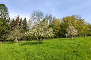 Streuobstwiese Iserlohn Oestrich