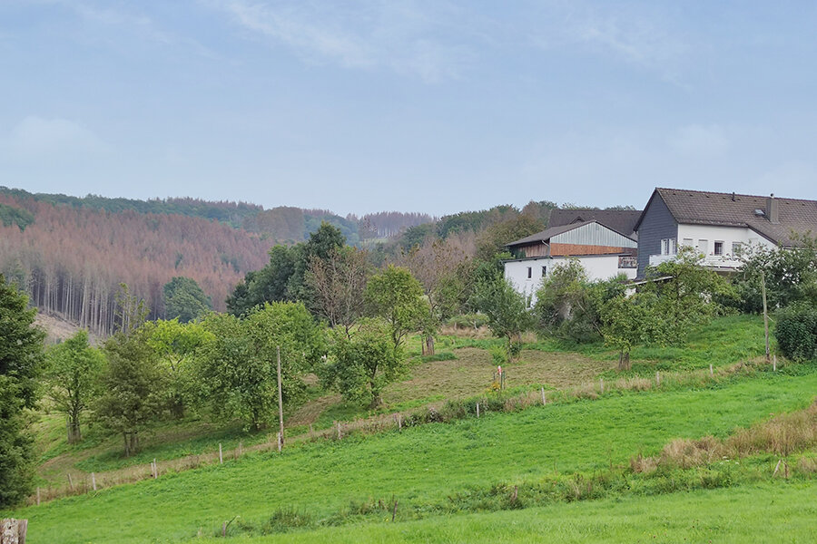 Streuobstwiese in Stottmert © Christine Loges