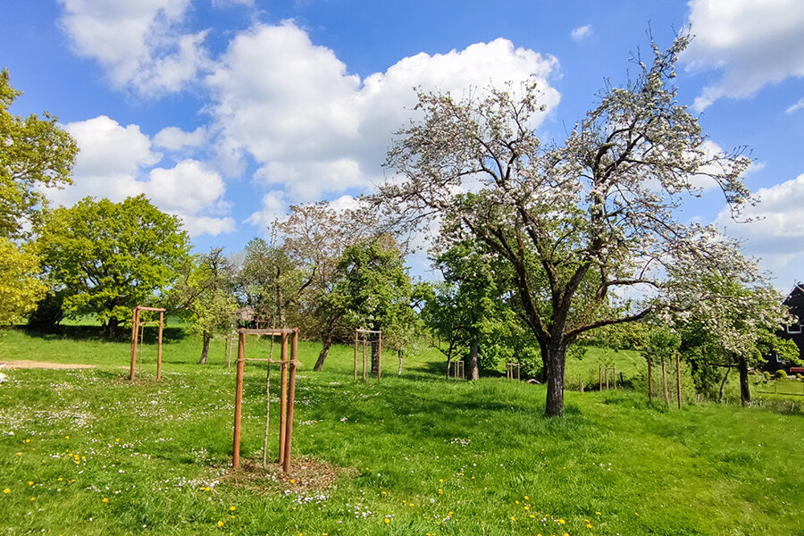 Streuobstwiese der Familie Poth © Christine Loges