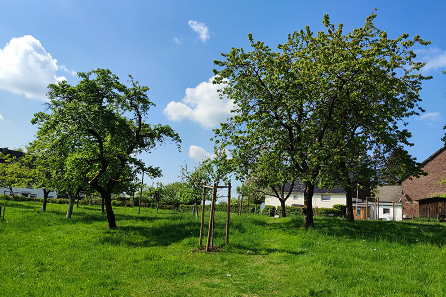 Streuobstwiese der Familie Poth © Christine Loges