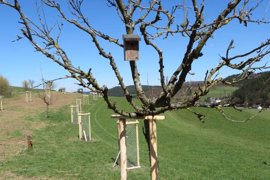 Streuobstwiese Richstein © Michael Düben