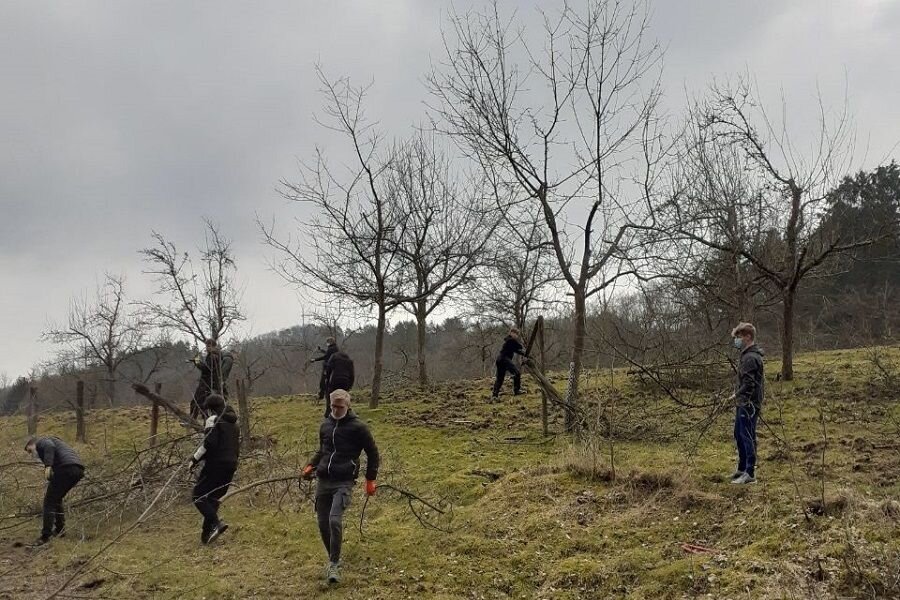 Schnitt an den Obstbäumen © Jens Herrmann