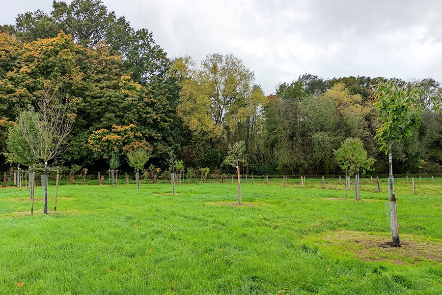 Streuobstwiese © Christine Loges