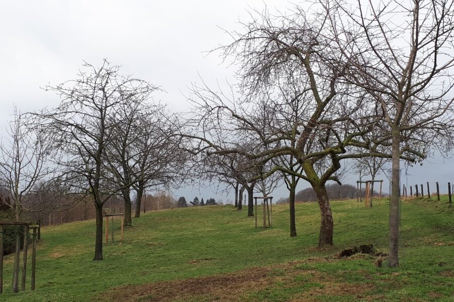 Streuobstwiese © Kurt Papenhoff